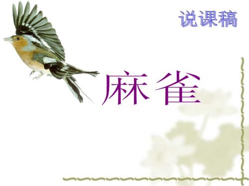 麻雀说课稿PPT课件.ppt