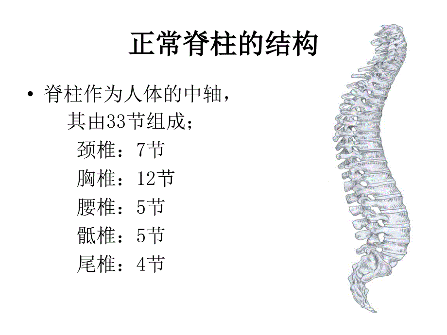脊柱侧弯概述ppt课件.ppt_第2页