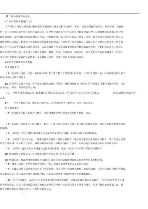 财务监理服务方案.docx