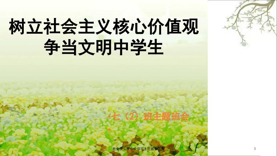 社会主义核心价值观主题班会优秀课件.ppt_第1页