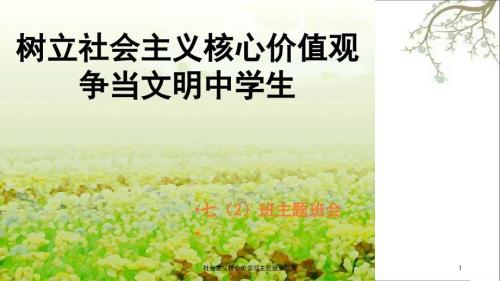 社会主义核心价值观主题班会优秀课件.ppt