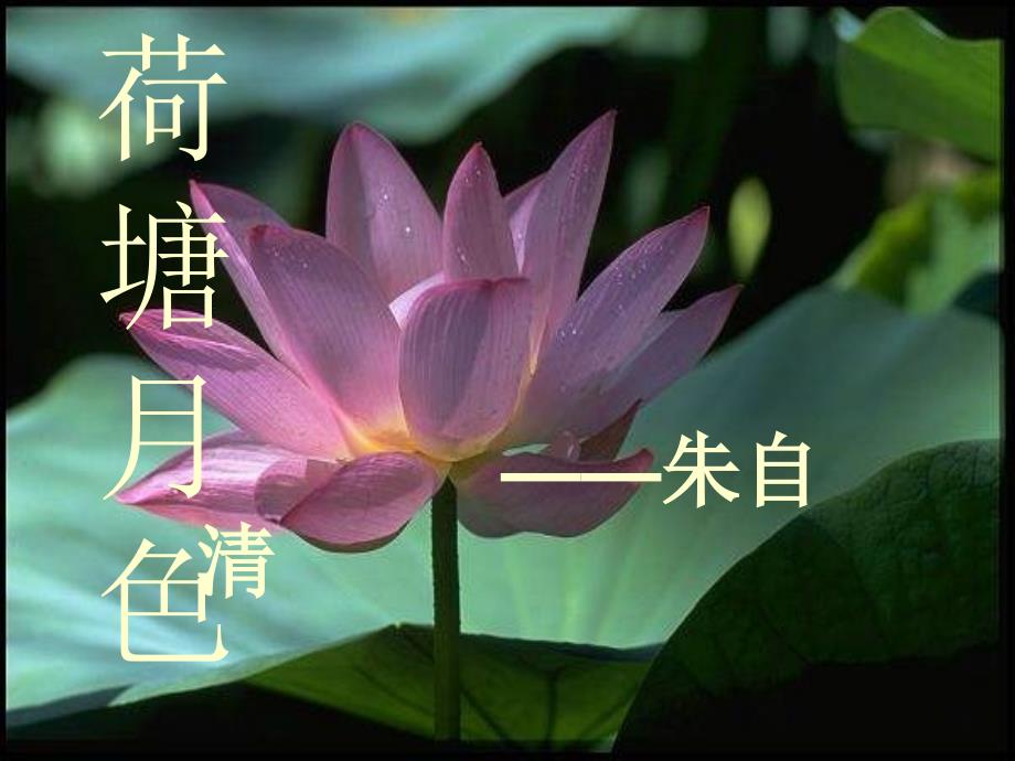 荷塘月色朱自清优秀课件PPT.ppt_第2页