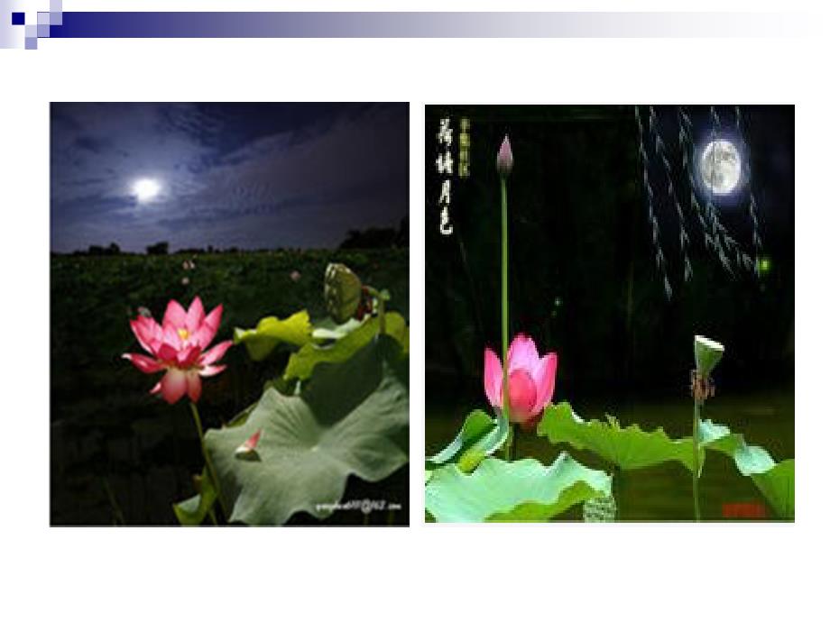 荷塘月色朱自清优秀课件PPT.ppt_第3页