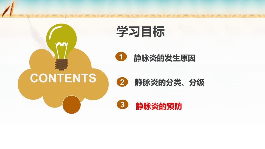 静脉炎ppt课件.pptx_第2页