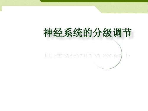 神经系统的分级调节.ppt
