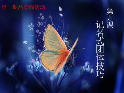 记名式团体技巧PPT课件.ppt