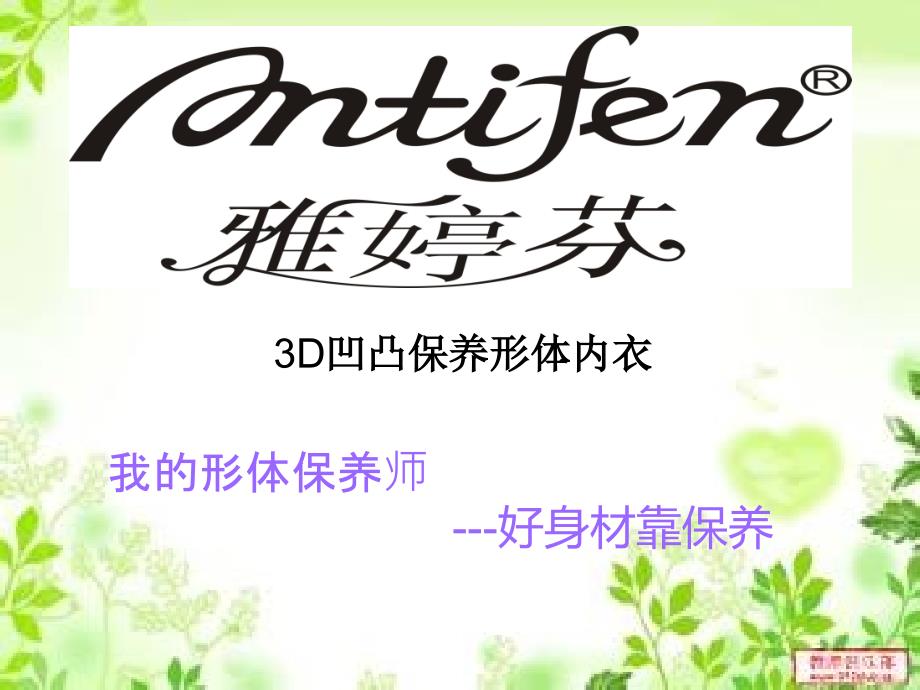 美体塑身衣ppt.ppt_第1页