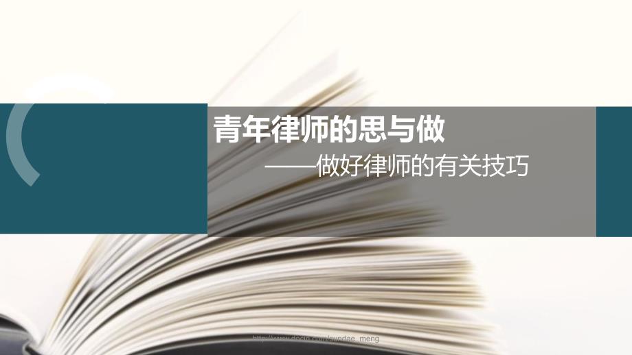 青年律师的思与做做好律师的有关技巧.ppt_第1页