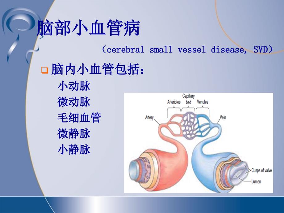 脑小血管病与腔隙性脑梗死.ppt_第2页
