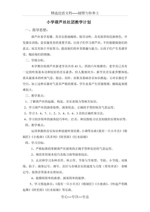 葫芦丝教案共19页.docx