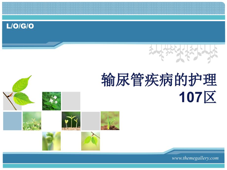 输尿管疾病的护理PPT课件.ppt_第1页