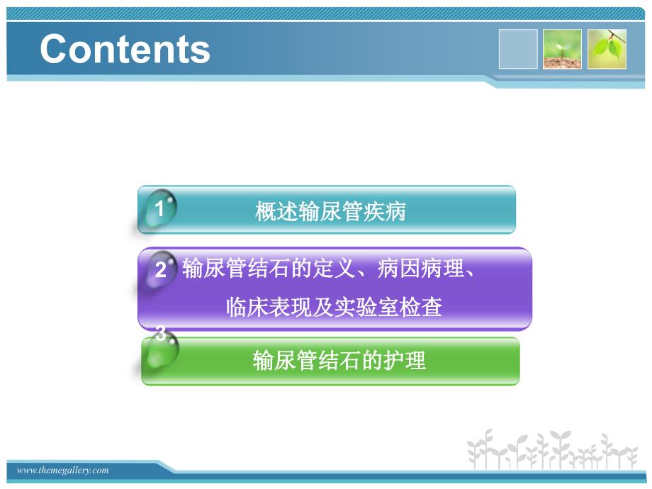 输尿管疾病的护理PPT课件.ppt_第2页