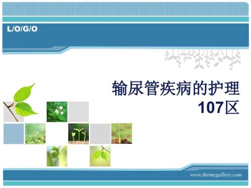 输尿管疾病的护理PPT课件.ppt