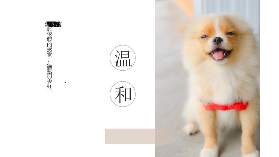 萌宠集狗狗生活相册宠物课件PPT.pptx_第2页