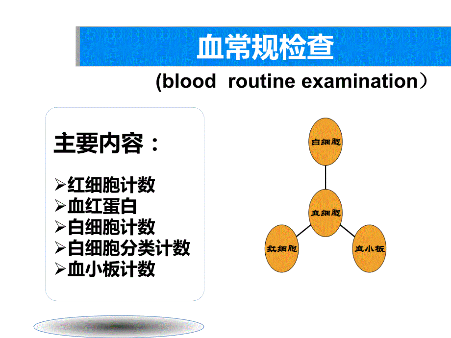 血常规解读PPT课件.ppt_第3页