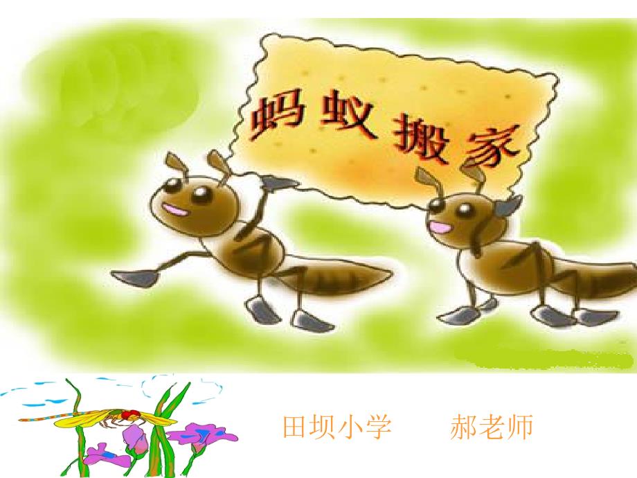 蚂蚁搬家PPT课件.ppt_第1页