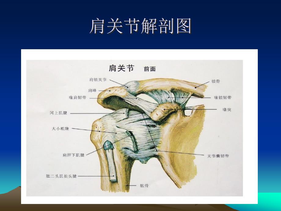 肩关节镜的护理查房.ppt_第3页