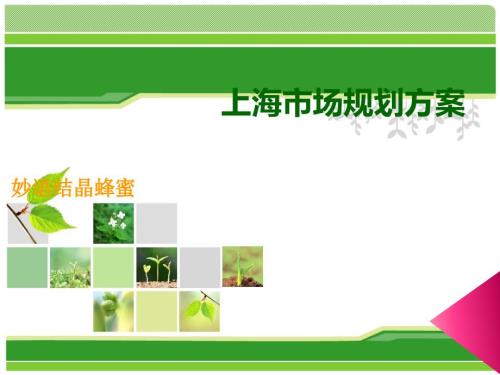 销售市场管理方案案例.ppt