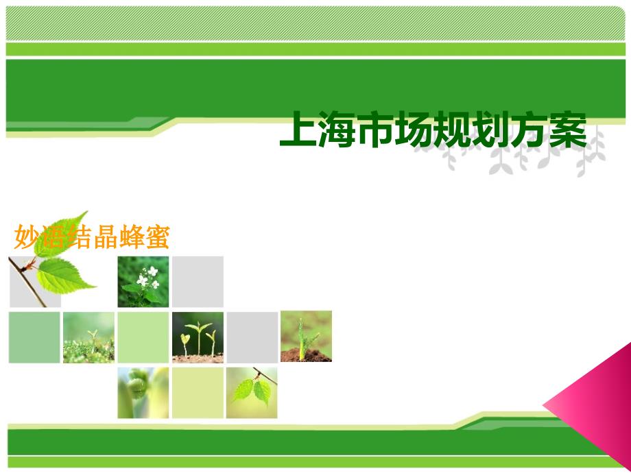 销售市场管理方案案例.ppt_第1页