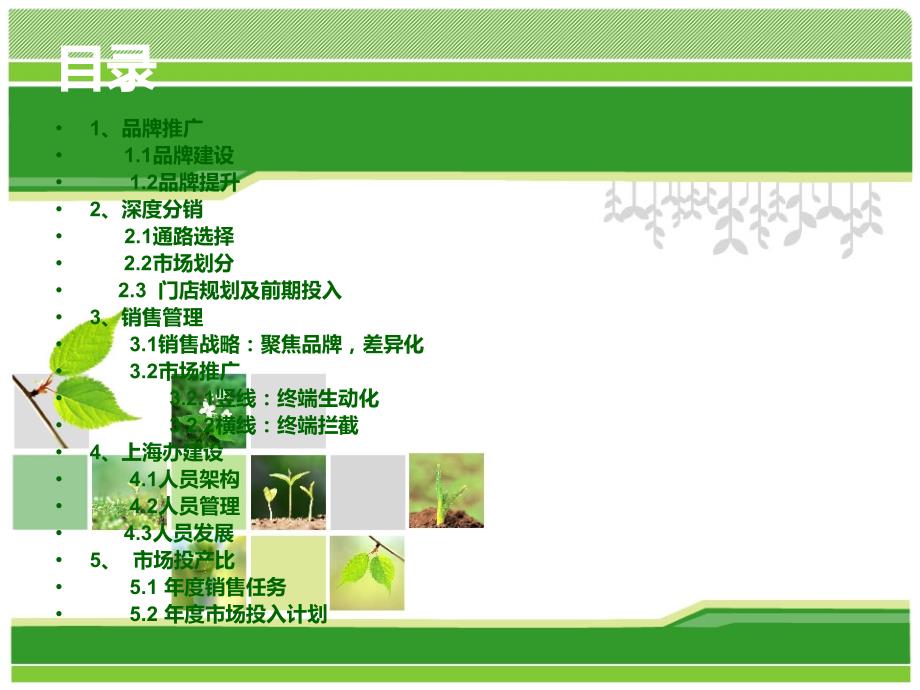 销售市场管理方案案例.ppt_第2页