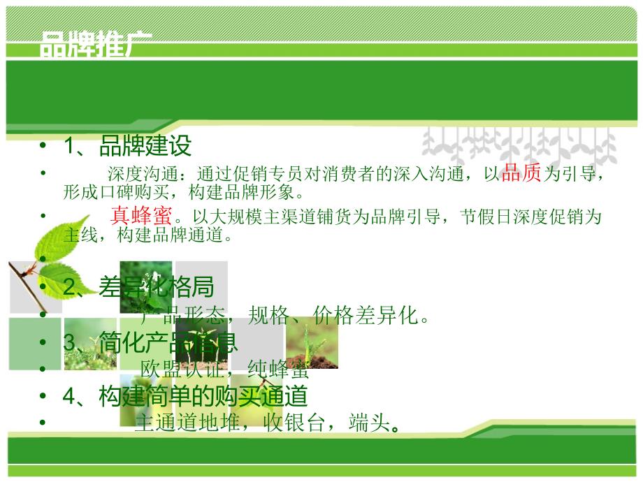 销售市场管理方案案例.ppt_第3页
