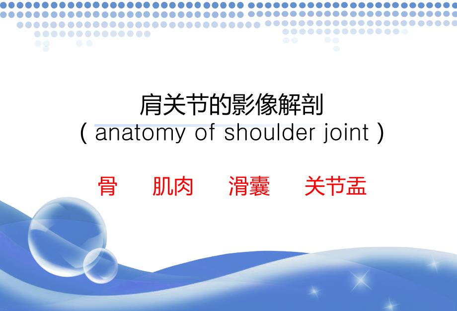 肩关节解剖PPT课件.ppt_第1页
