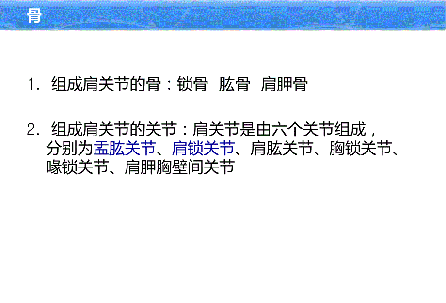 肩关节解剖PPT课件.ppt_第2页