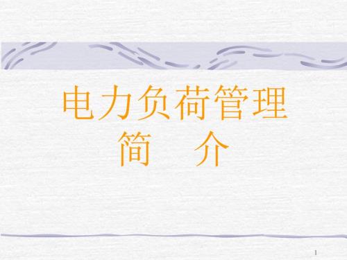 负荷控制和管理系统.ppt