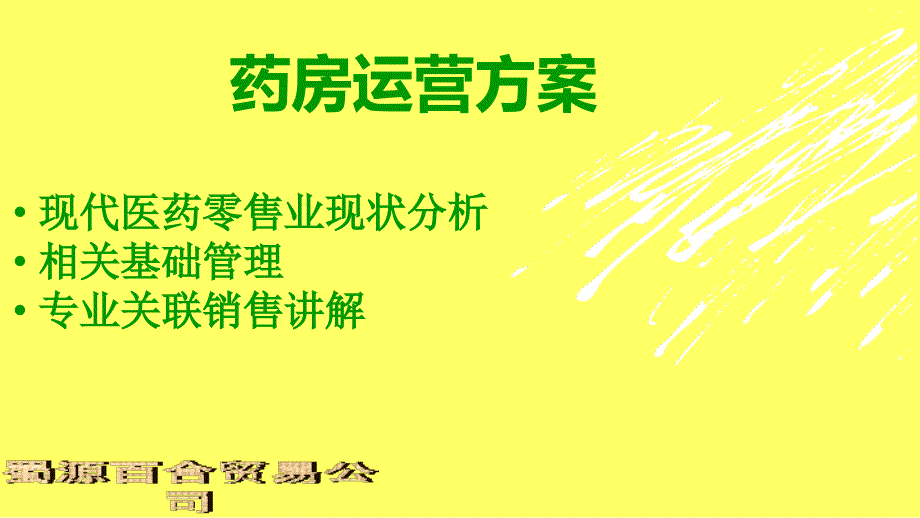 药房运营方案课件.ppt_第2页