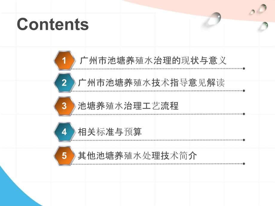 鱼塘养殖尾水处理工艺及其应用.ppt_第2页