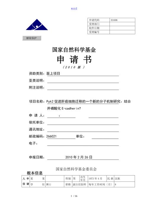 面上项目标书范例.doc