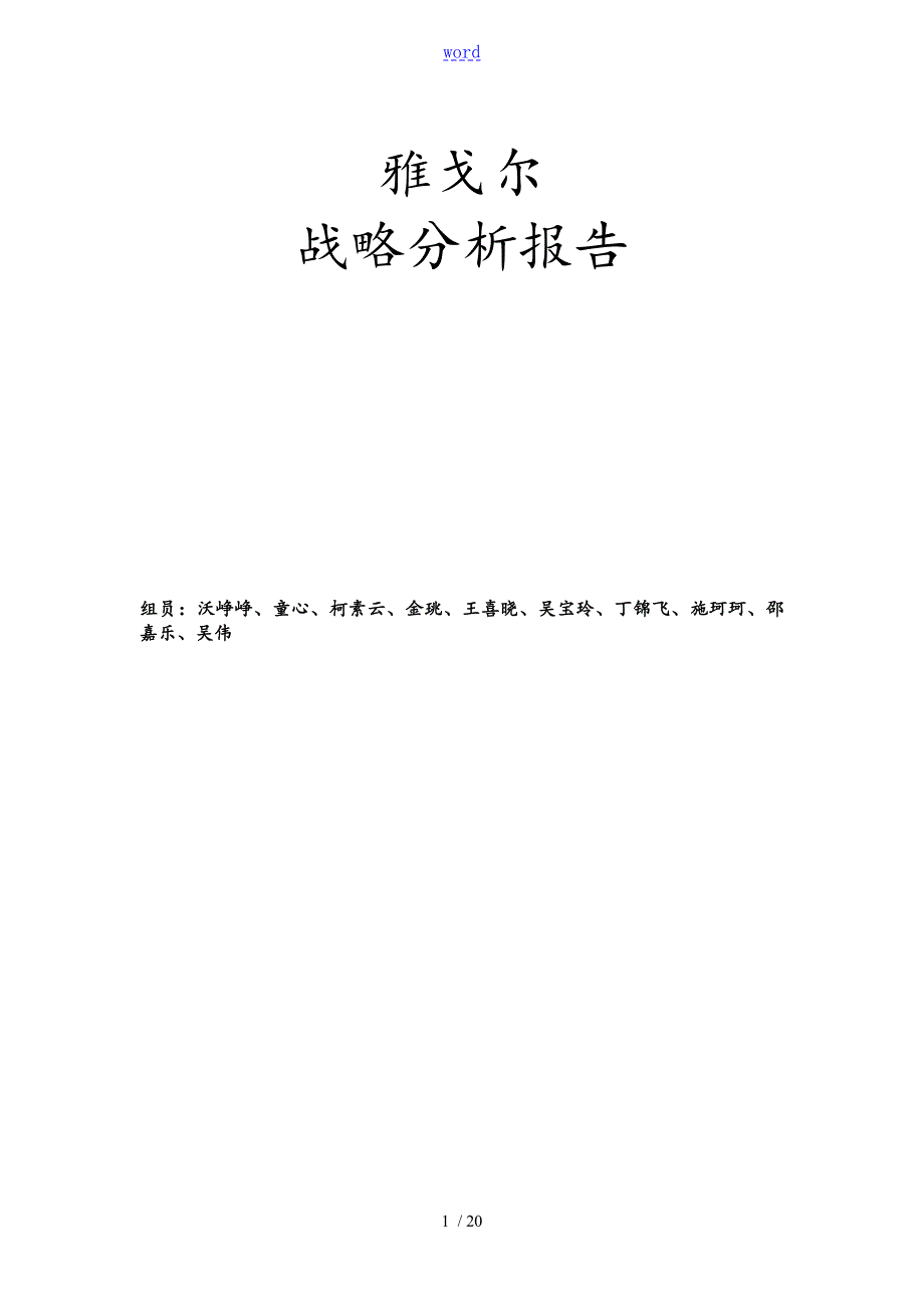 雅戈尔战略分析报告报告材料.doc_第1页