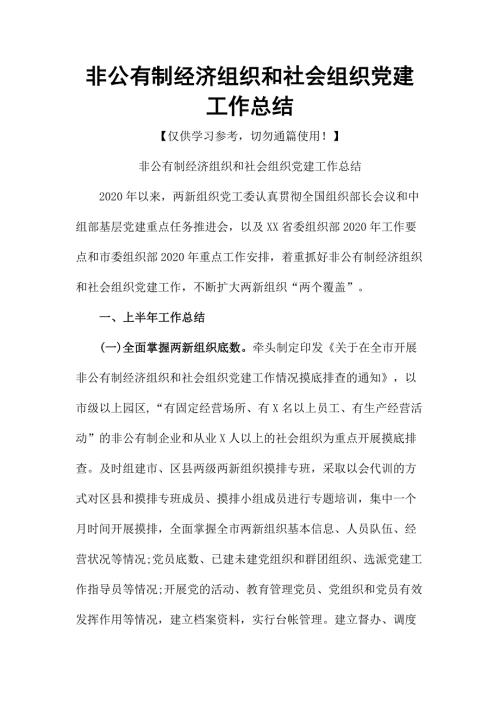 非公有制经济组织和社会组织党建工作总结.docx