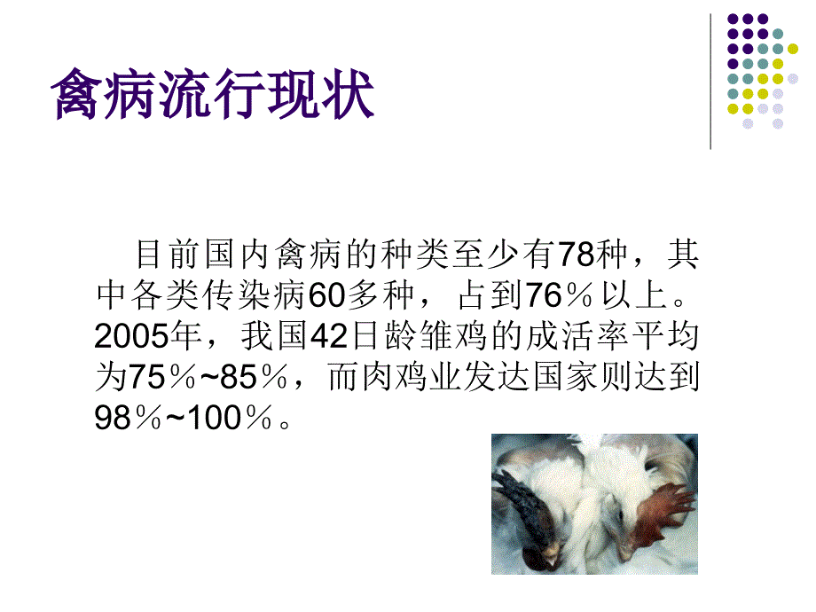 鸡场消毒防疫PPT课件.ppt_第2页