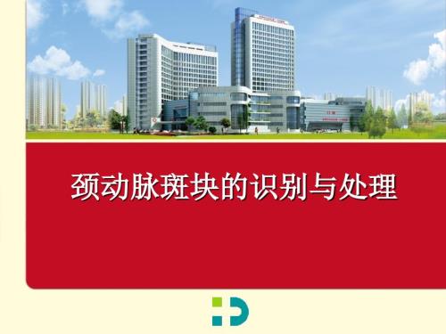 颈动脉斑块的识别与处理.ppt