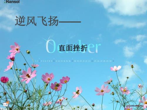 逆风飞扬直面挫折.ppt