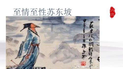 至情至性苏东坡课件.pptx