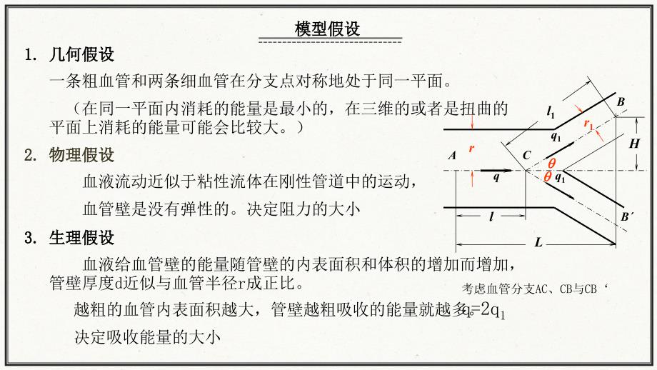 血管分支模型PPT课件.ppt_第2页