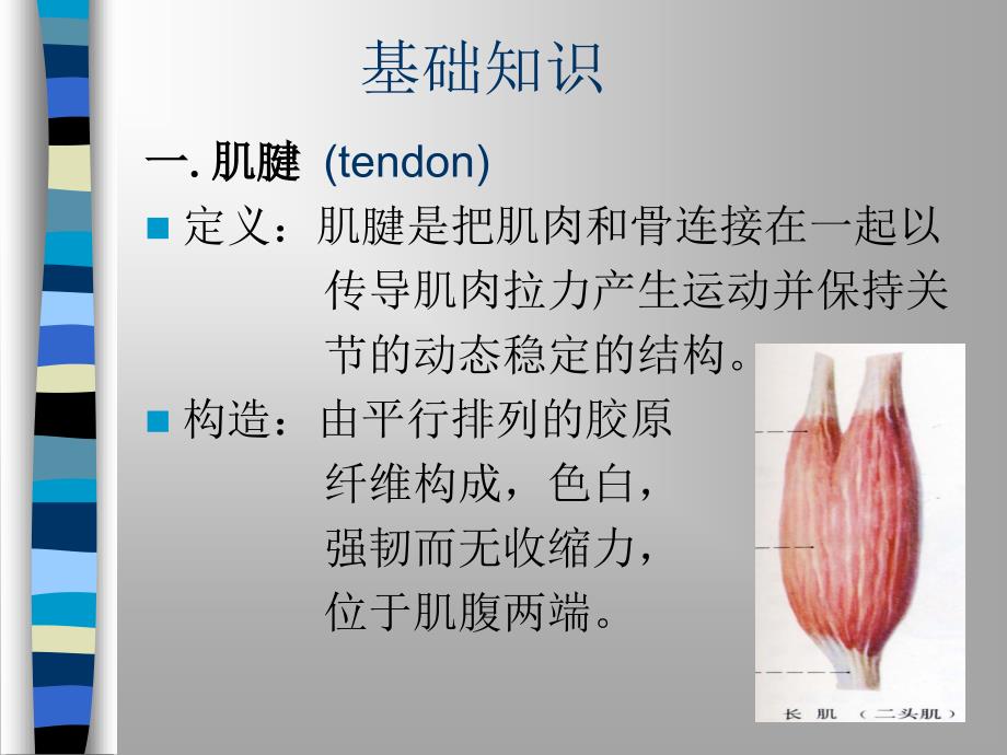 肌腱和关节挛缩的运动疗法.ppt_第3页