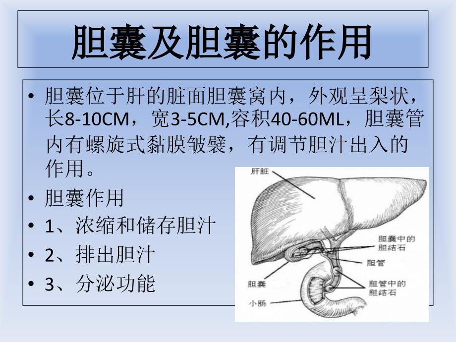 胆囊结石小讲课PPT课件.ppt_第3页