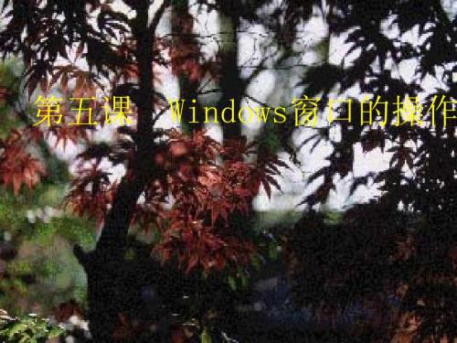 窗口的操作PPT课件.ppt