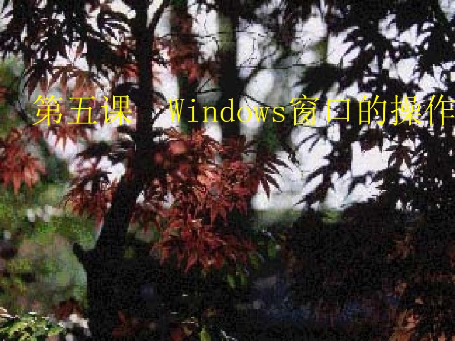 窗口的操作PPT课件.ppt_第1页