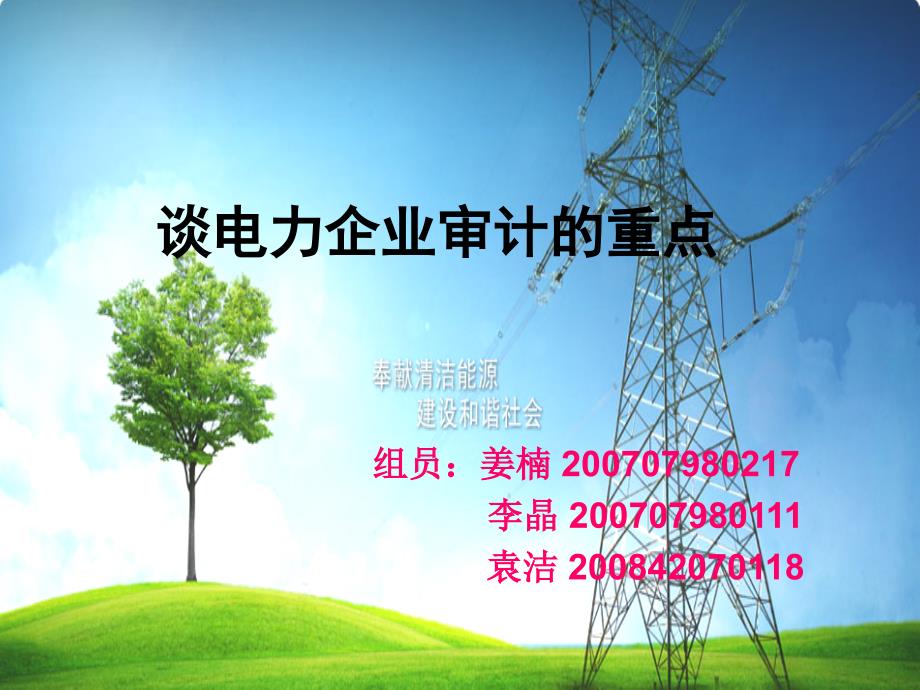 谈电力企业审计的重点.ppt_第1页