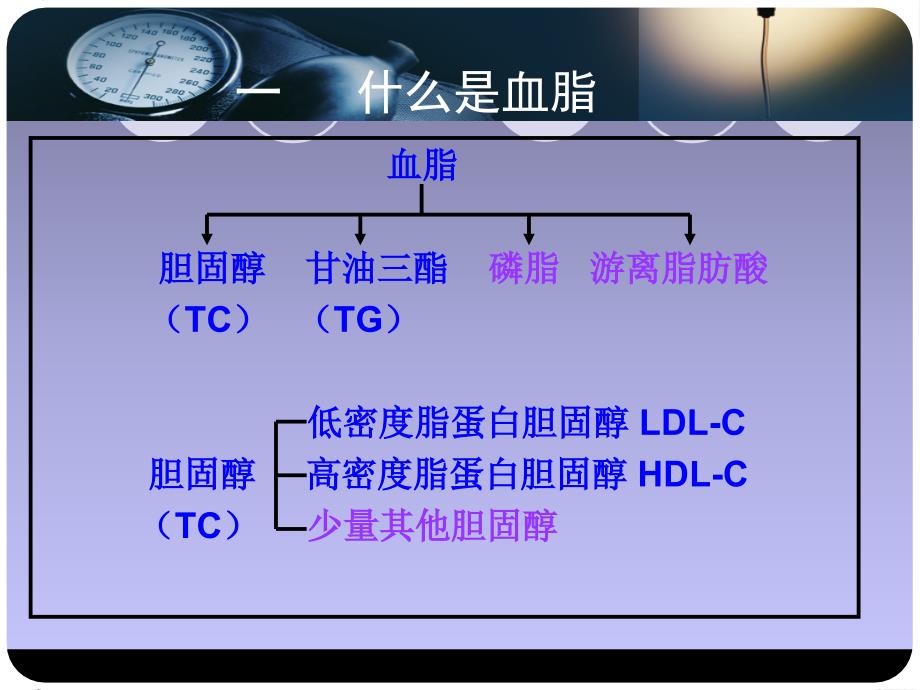 高脂血症的治疗最新进展.ppt_第3页