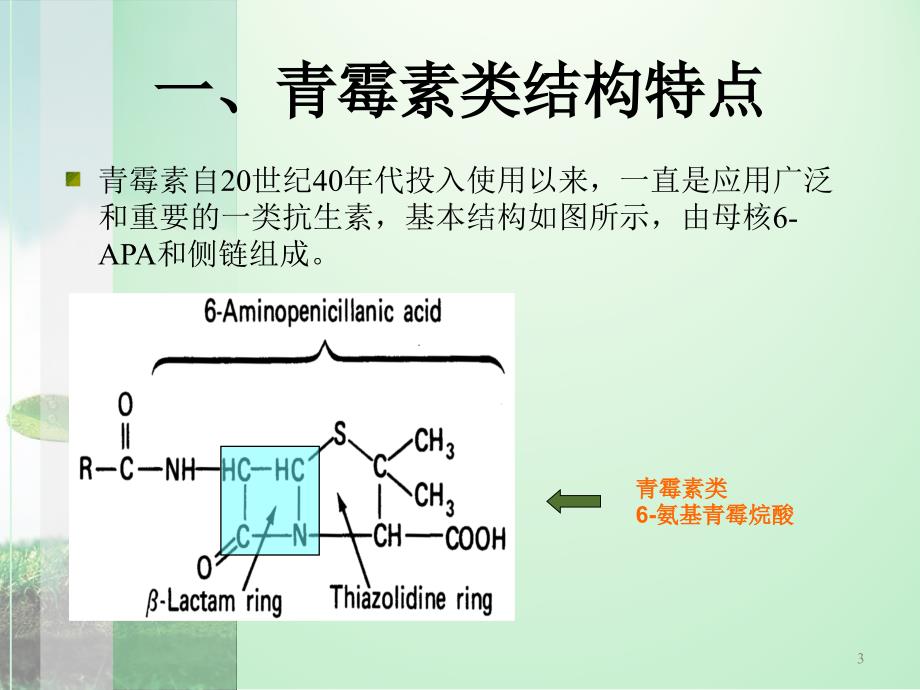青霉素ppt课件.ppt_第3页