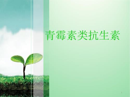 青霉素ppt课件.ppt