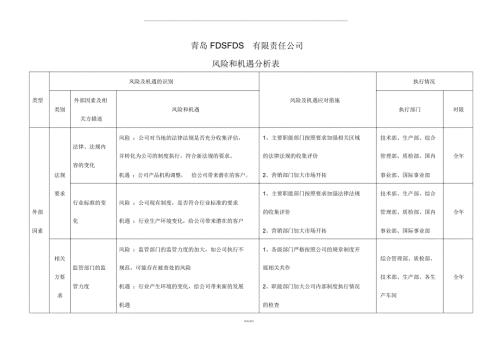 风险及机遇识别.docx