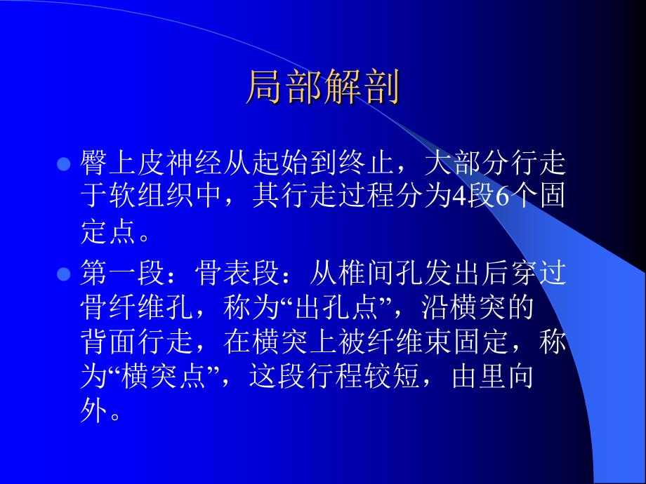 臀上皮神经解剖及疾病概述.ppt_第3页