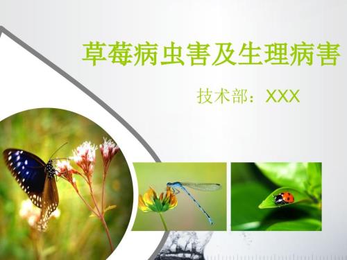 草莓病虫害及生理病害.ppt