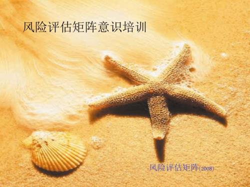 风险评估矩阵PPT课件.ppt